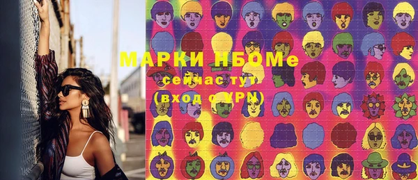 apvp Алзамай