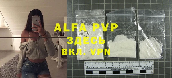 apvp Алзамай