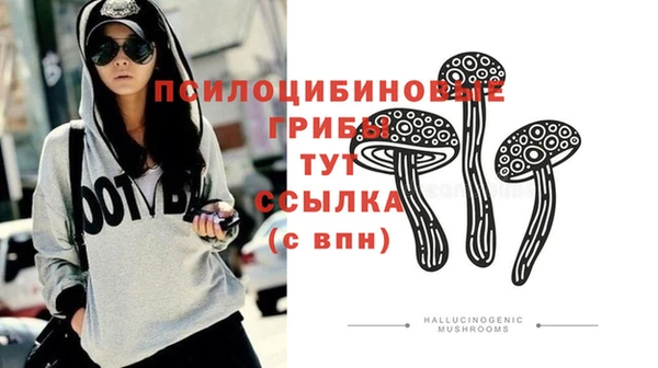 2c-b Алексин