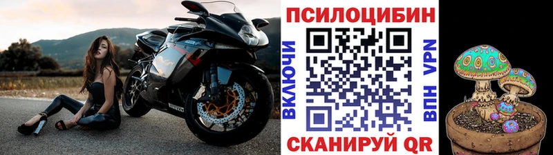 Псилоцибиновые грибы мицелий  даркнет клад  Кашин  где купить наркотик 